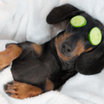 Read more about the article Feeling Cooped Up and Stressed?  Here Are 15 Ways You Can Take Care of Yourself Right Now