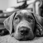 Read more about the article 3 Reasons You’re Not Happy and What You Can Do About It