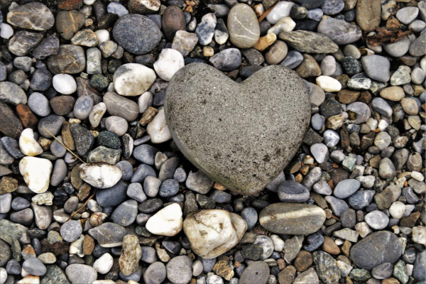 heart-shaped stone in the middle of pebbles